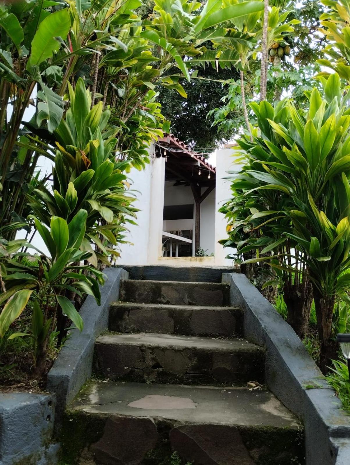 Casa Escalante Hostel San José Extérieur photo